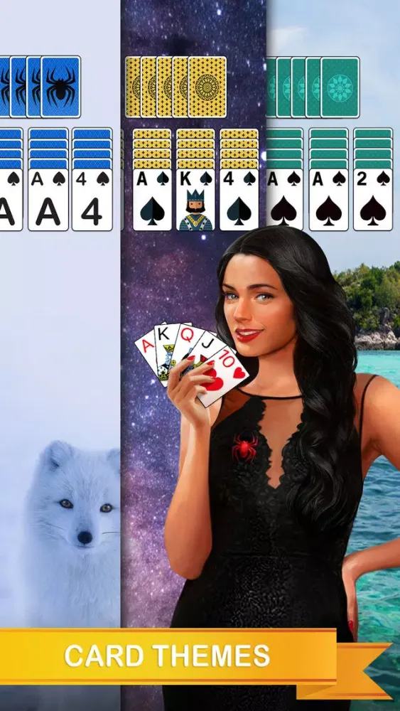 صور Daily Spider Solitaire