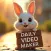 Daily Video Maker