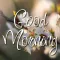Good Morning Messages & Wishes