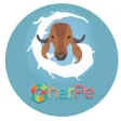 Gharpe