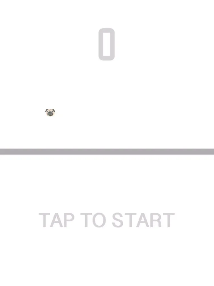 Pug Bounce 2015 iPad 应用截图