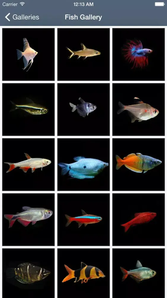 Скриншоты My Aquarium Guide Pro