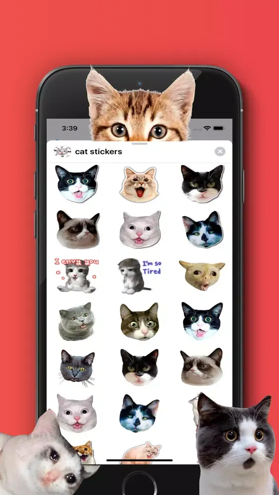 Скриншоты Cat Stickers For Chat