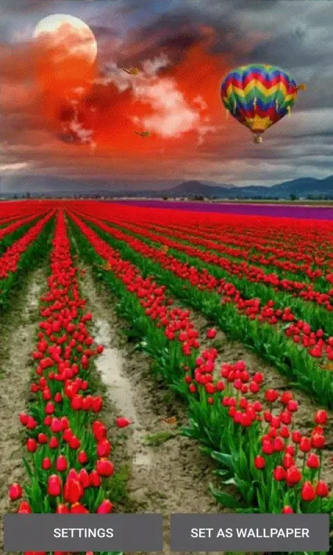 Capturas de pantalla de Tulip Flowers Live Wallpaper