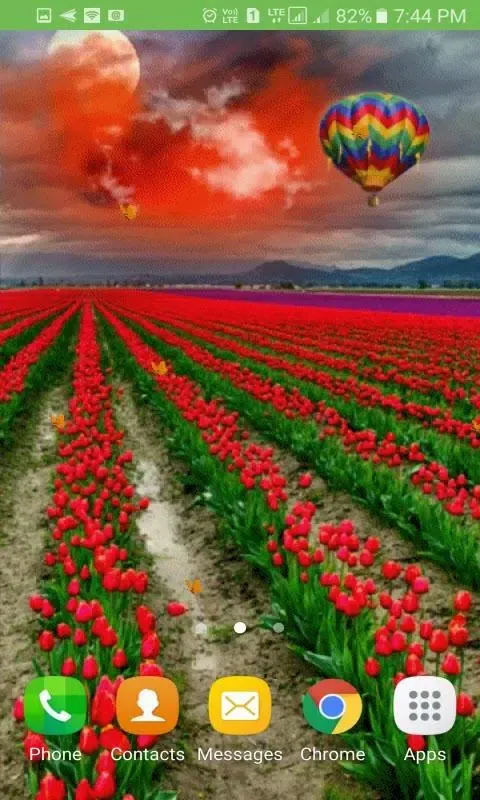 Capturas de pantalla de Tulip Flowers Live Wallpaper