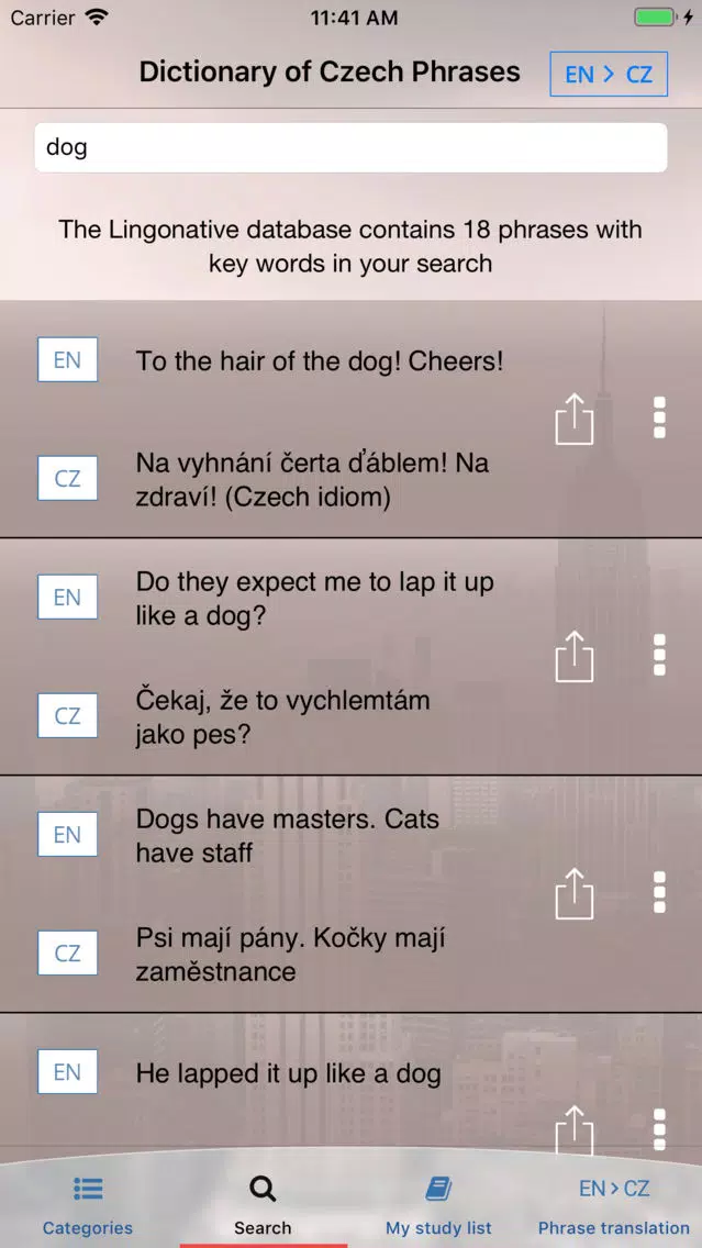 Zrzuty ekranu LingoNative