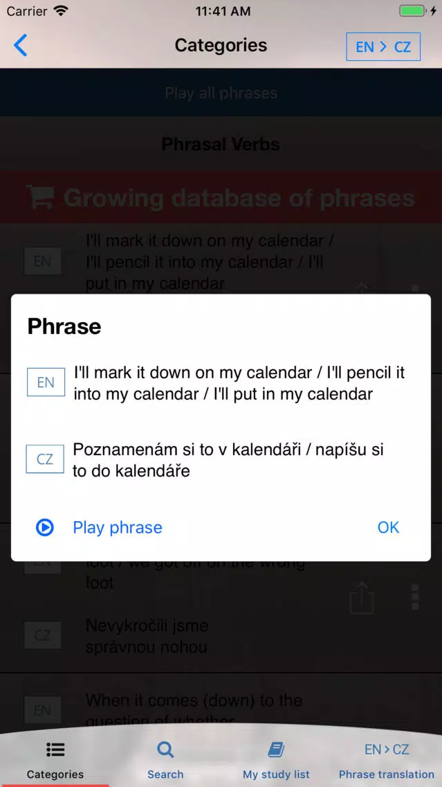 Zrzuty ekranu LingoNative
