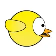 Touchy Birds