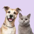 Dog Sound Simulator Dog Sound Simulator