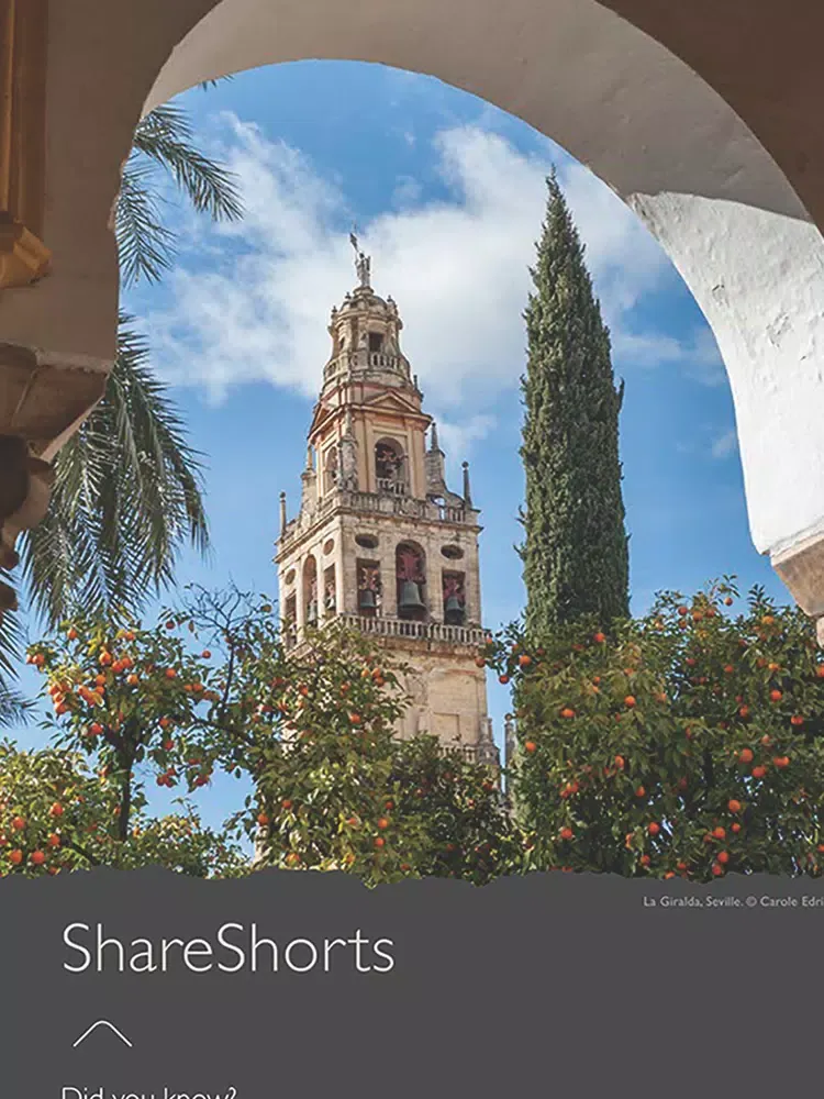 Dance GRiST – Dance In Depth iPad Screenshots