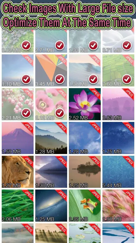 Скриншоты Shrink My Pictures - Reduce Image Size Without Resizing