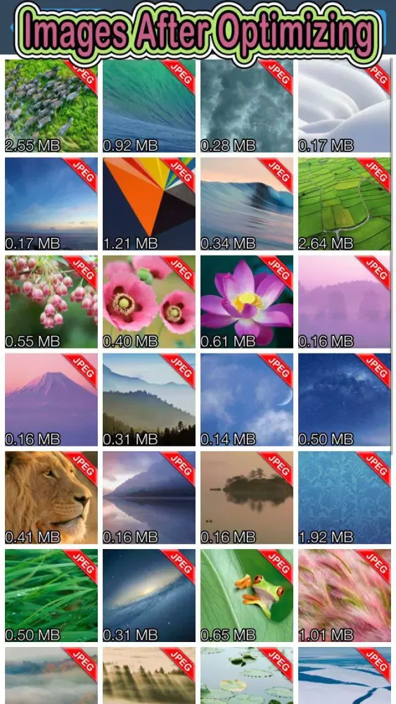 Скриншоты Shrink My Pictures - Reduce Image Size Without Resizing