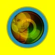 Handy Mirror Camera