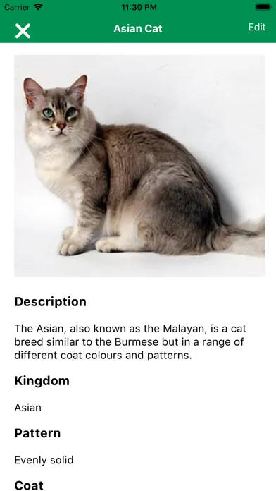 تصاویر Pet Insurance - Pet Care