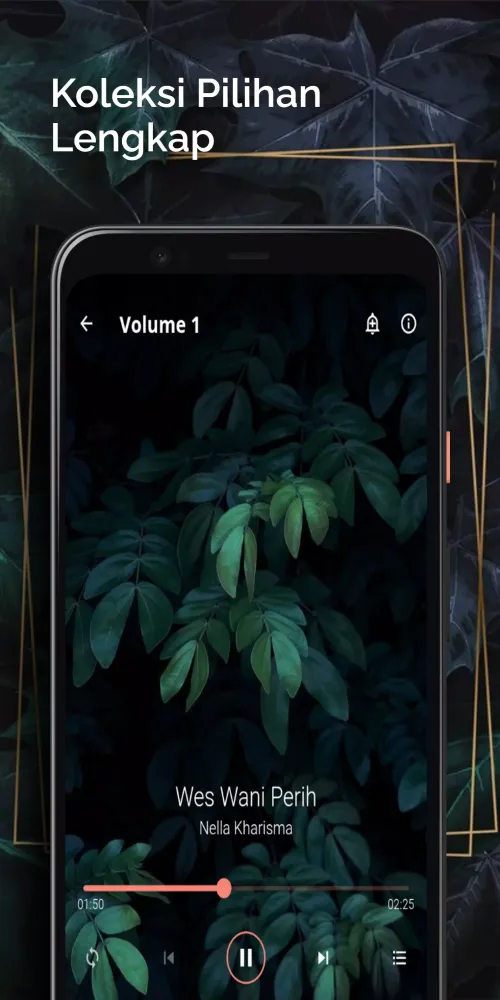 Dangdut Koplo Palapa Screenshots