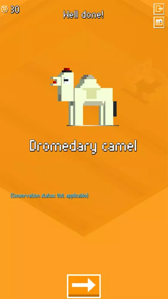 My animal dictionary: Rescue endangered species 스크린샷