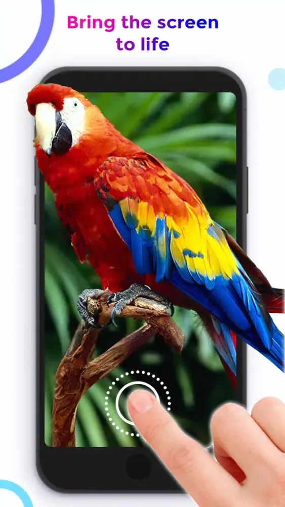 Скриншоты Live Wallpaper ++