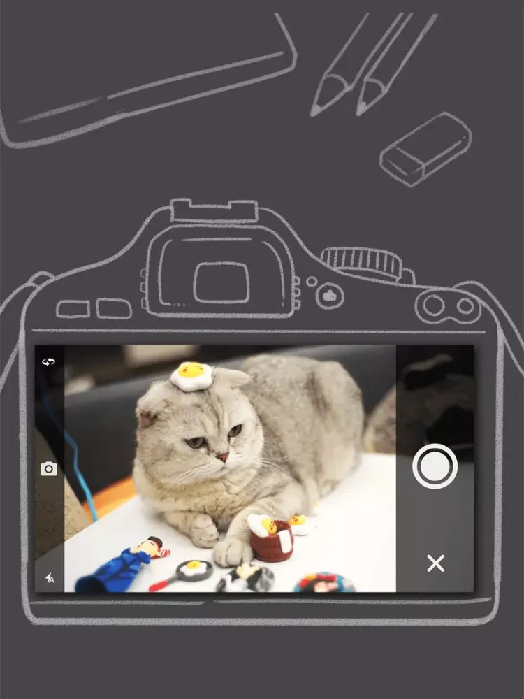 Zrzuty ekranu Danmo - Beauty Snap Story Splicing Camera · Photos Become Film Video iPad 