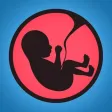 Baby Sleep Back to Womb