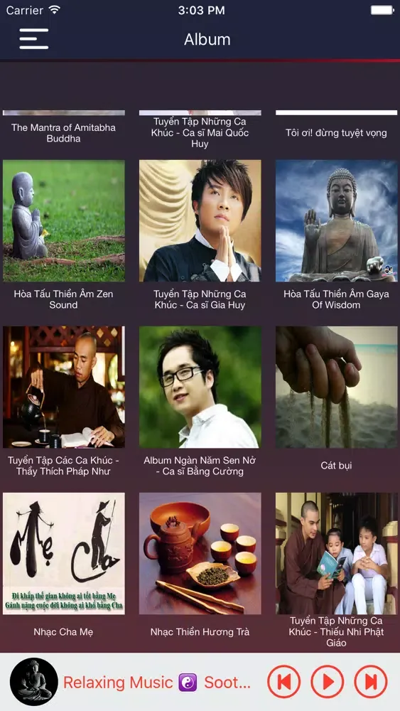Ảnh chụp màn hình của Buddhalife Pro