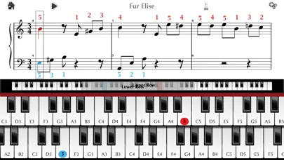 تصاویر Piano ∞