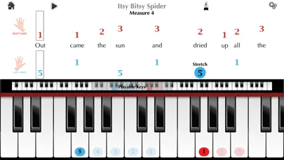 تصاویر Piano ∞