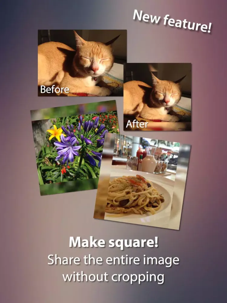 صور Minima Pro - Image & Video Resizer iPad 