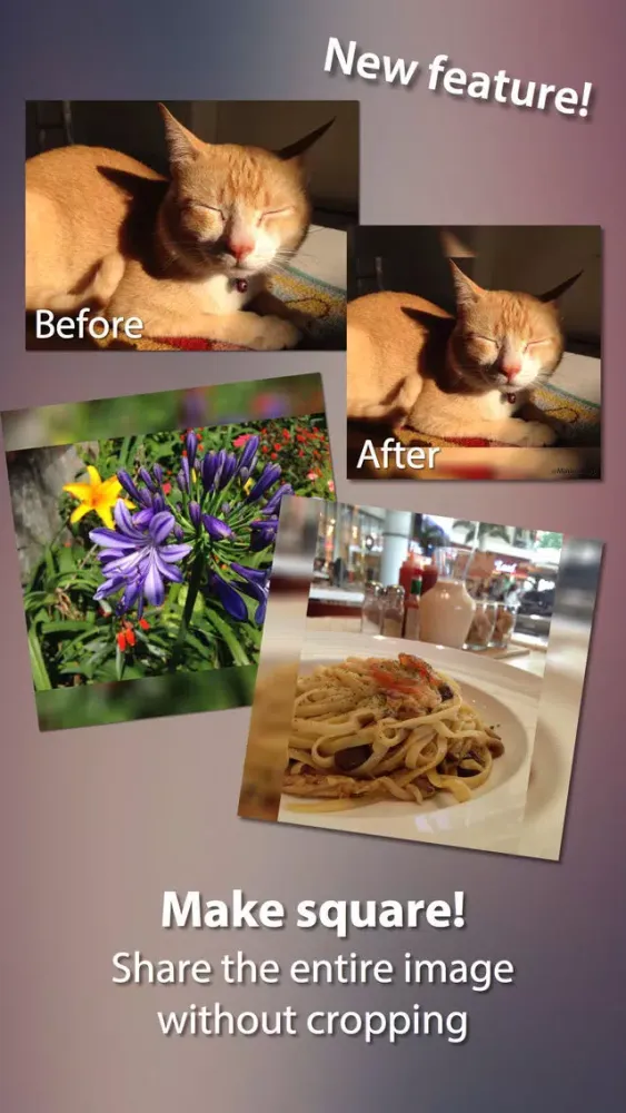صور Minima Pro - Image & Video Resizer