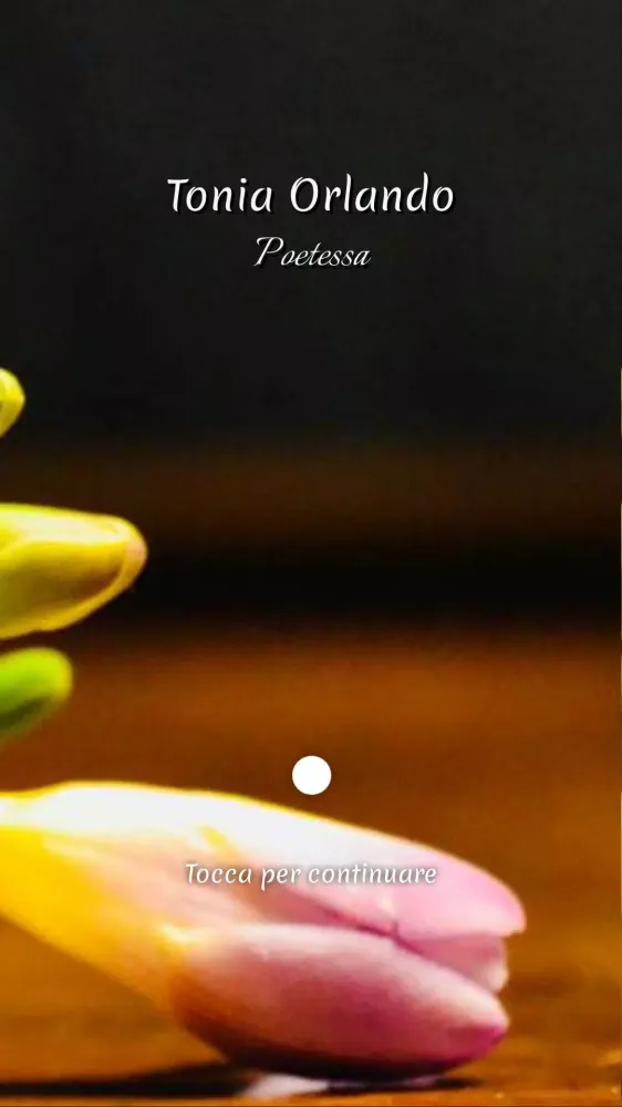 Tonia Orlando Screenshots