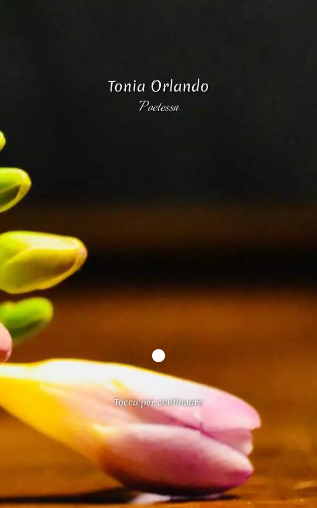 Tonia Orlando Screenshots