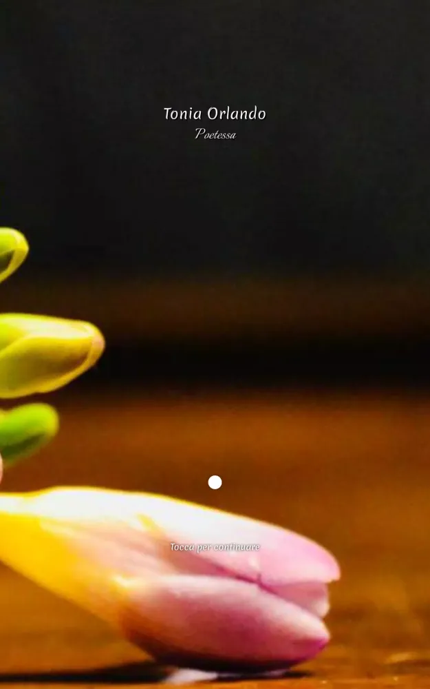 Tonia Orlando Screenshots