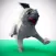 Doggy Chase
