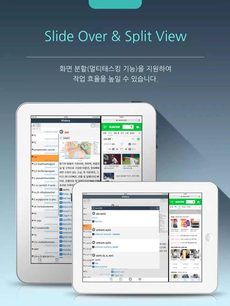 우리말 의학사전(회원용) iPad 應用截圖