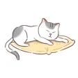 worry cat-to remove stress worry cat-to remove stress