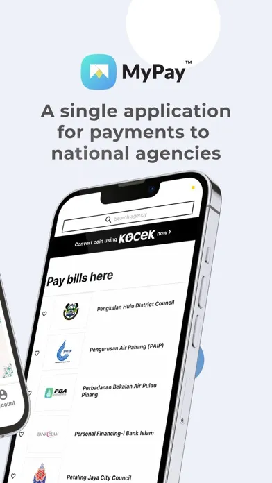 Tangkapan layar MyPay Malaysia (DAPAT)