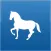 Horse Medical Agenda