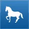Horse Medical Agenda