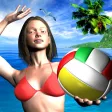 Over The Net Beach Volleyball Over The Net Beach Volleyball