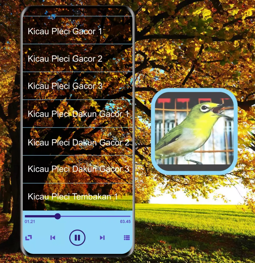 Zrzuty ekranu Masteran Kicau Pleci Mp3
