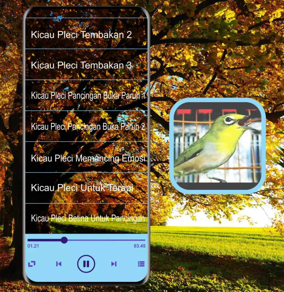 Zrzuty ekranu Masteran Kicau Pleci Mp3