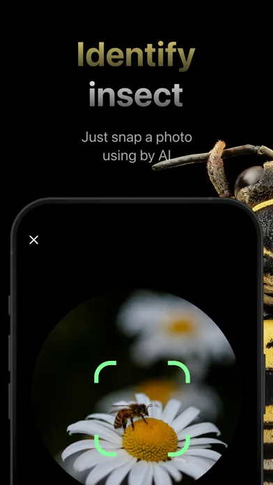 Bug identifier * Insect Finder Screenshots