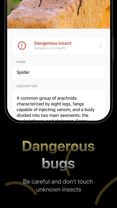 Bug identifier * Insect Finder Screenshots
