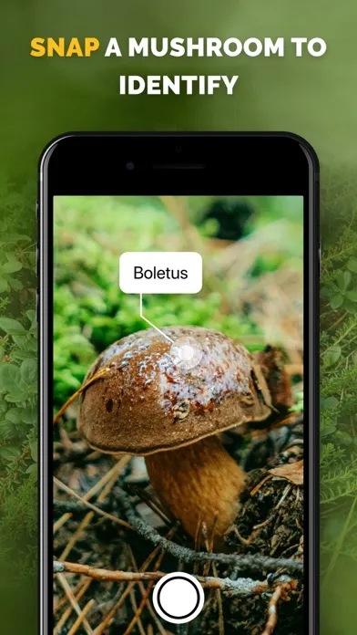 Ảnh chụp màn hình của Mushroom identifier Picture ID