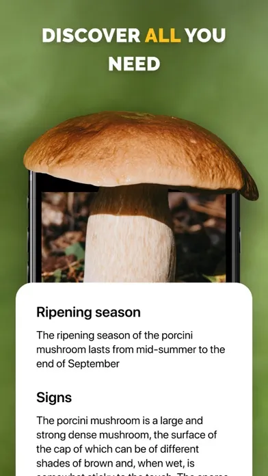 Ảnh chụp màn hình của Mushroom identifier Picture ID