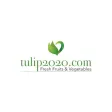 Tulip 2020 Ltd