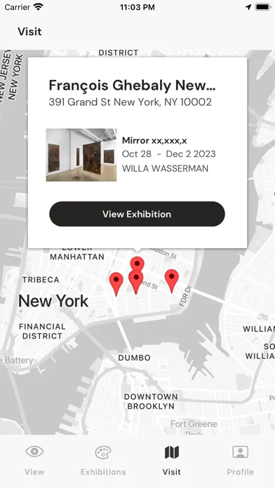 darta | digital art advisor应用截图