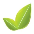 Eco Elite Limo App Eco Elite Limo App