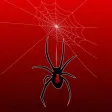 Spider Web Shooter
