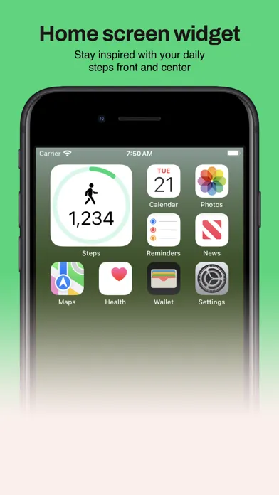 Steps  - Simple Pedometer স্ক্রিনশট