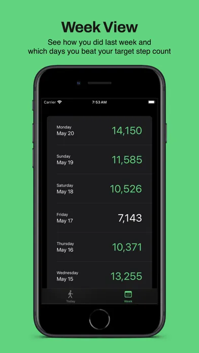 Steps  - Simple Pedometer স্ক্রিনশট
